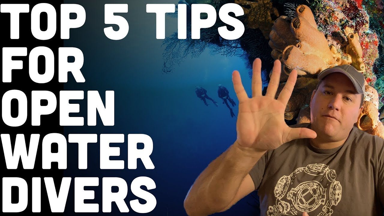 5 Tips For Beginner Open Water Scuba Divers.jpg