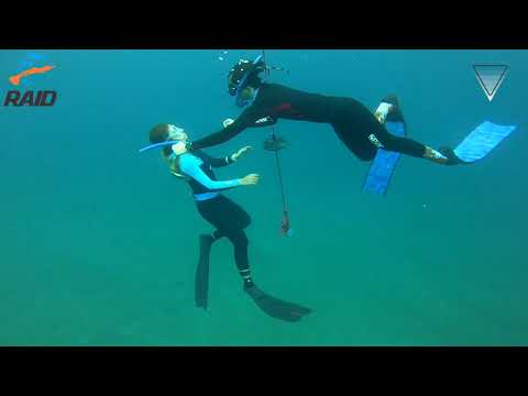 Azul Freediving RAID Freediving Certification Course.jpg