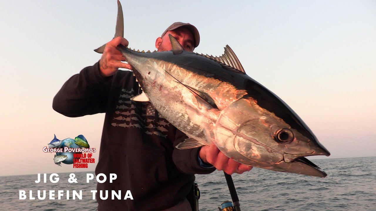 BLUEFIN TUNA JIG POP RHODE ISLAND - 2022 SEASON - Episode 2 - 4K.jpg