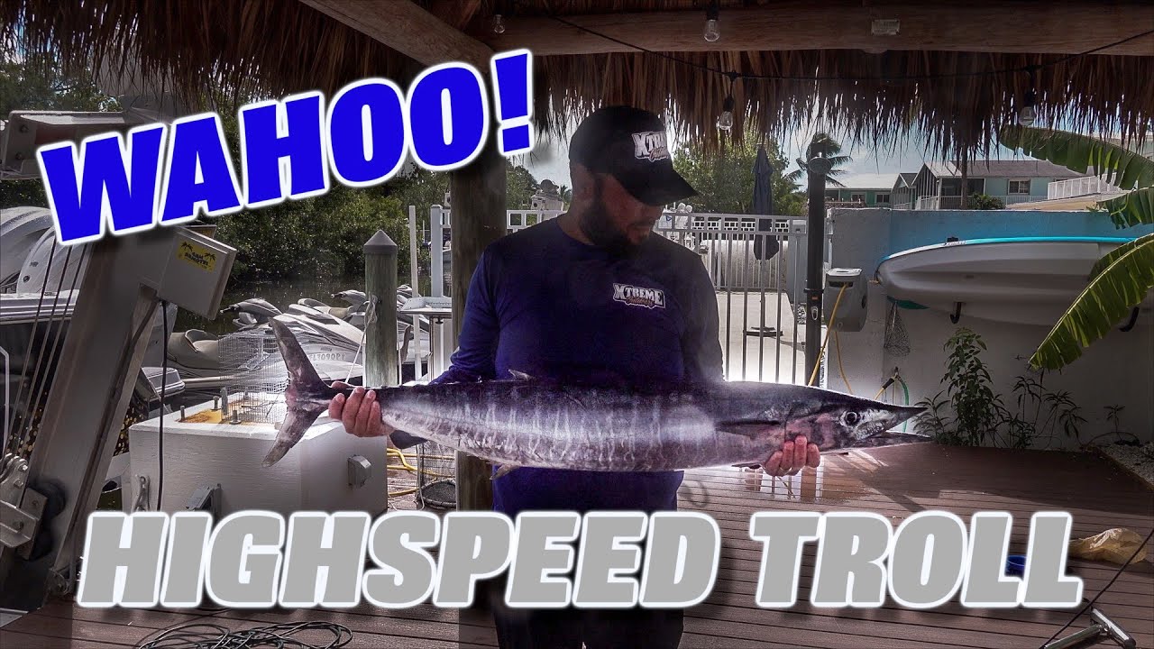 HIGHSPEED TROLLING for WAHOO in Key Largo Catch Cook.jpg