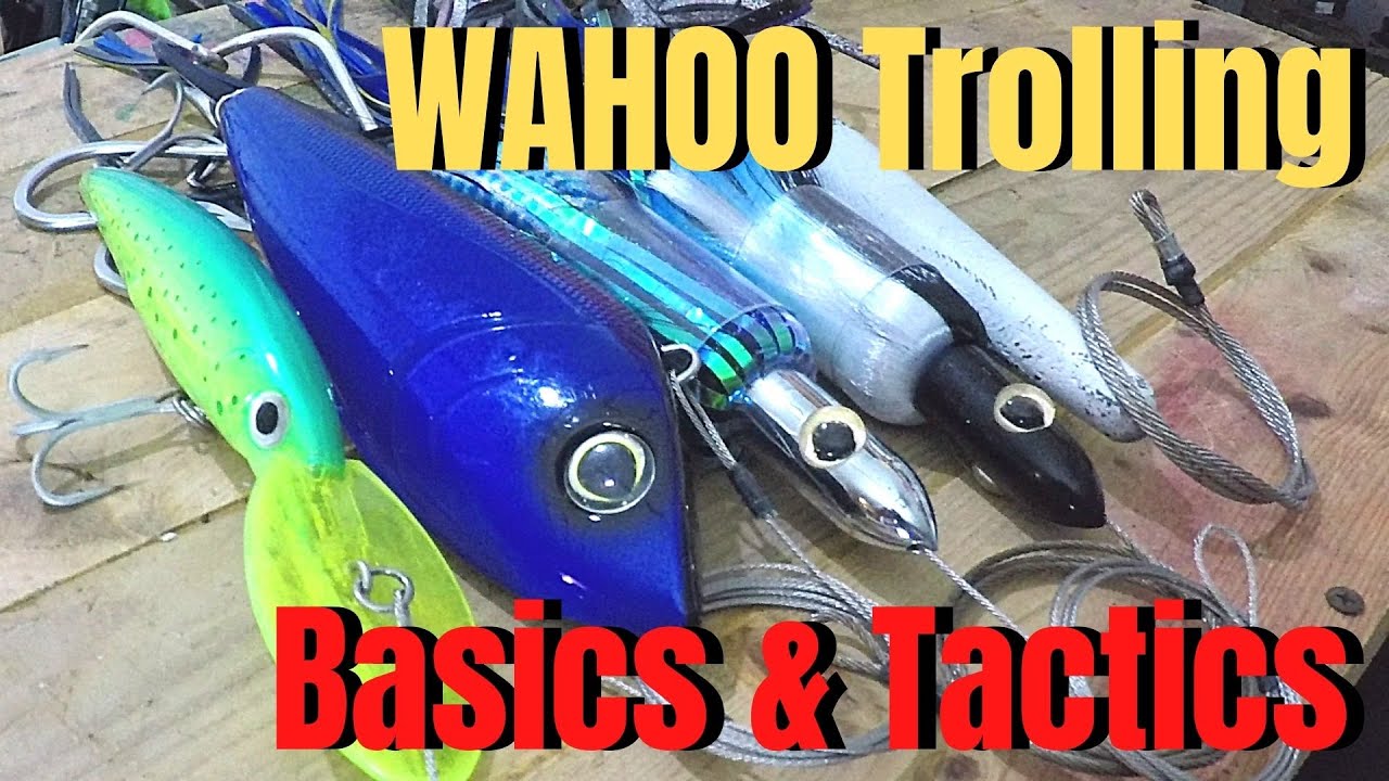 How to catch WAHOO high speed trolling Basics tactics​.jpg