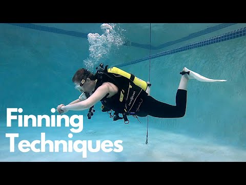 How to Kick Efficiently for Scuba Diving - Finning Techniques.jpg