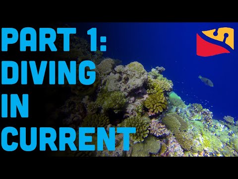 How To Scuba Dive In The Ocean Part 1 Currents. Presented By Dive Rite.jpg