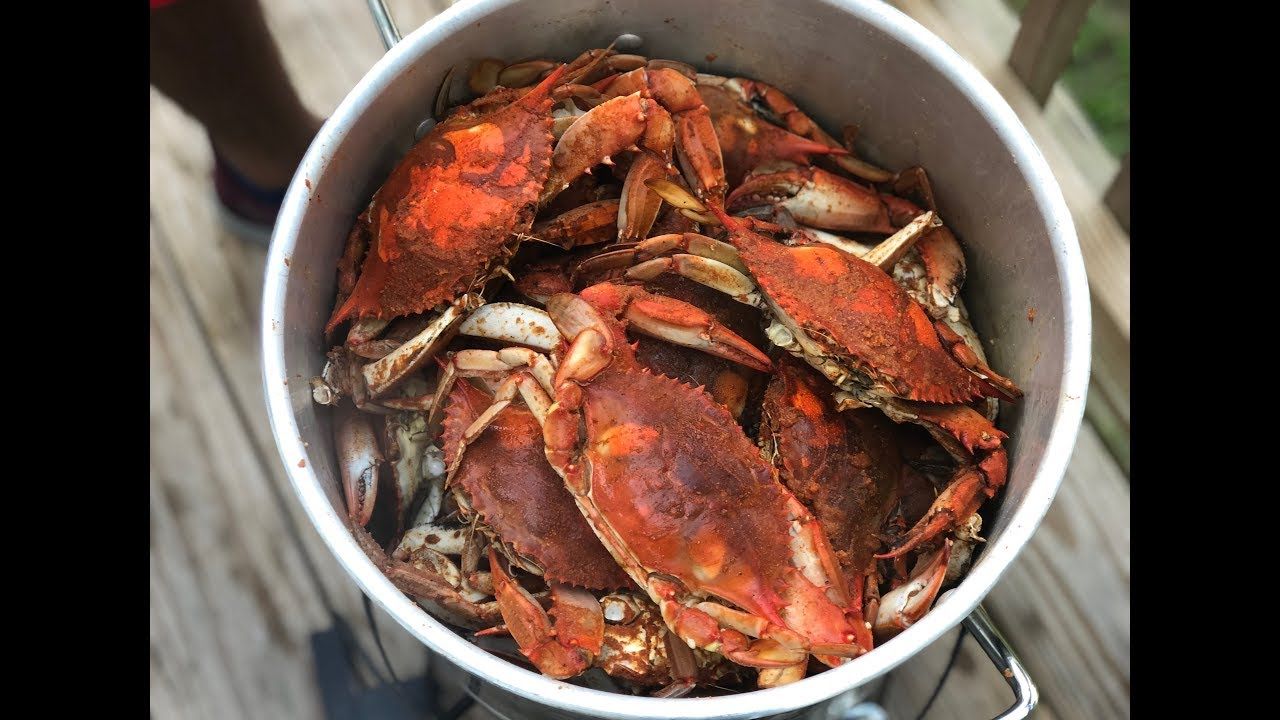 How To Steam Maryland Blue Crabs Blue Crabs Recipe Southern Smoke Boss​.jpg