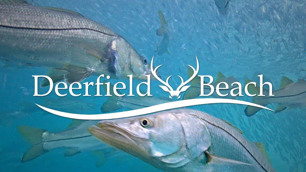 LIVE Deerfield Beach FL USA Underwater Camera.jpg