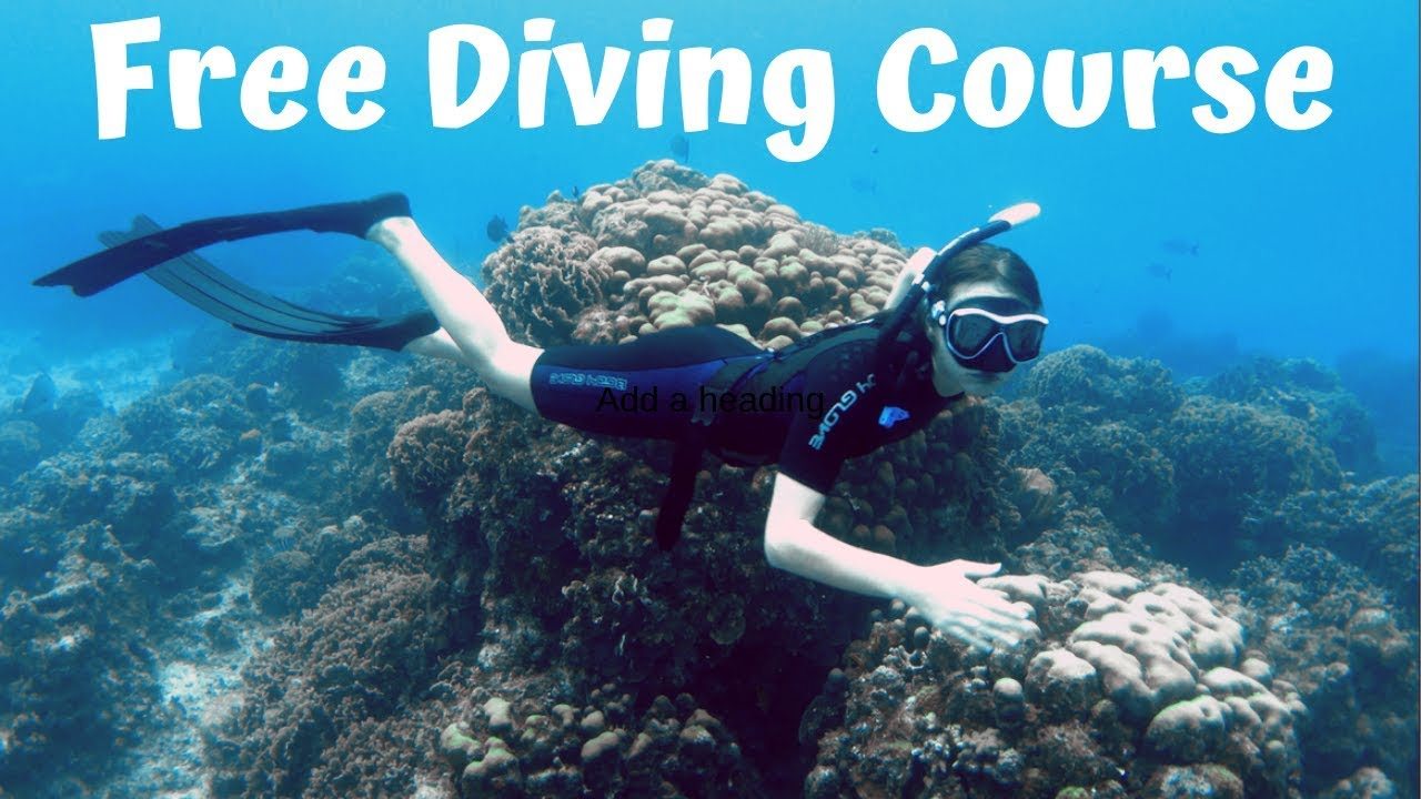 My Experience of PADI Freediver Course Level 1​.jpg