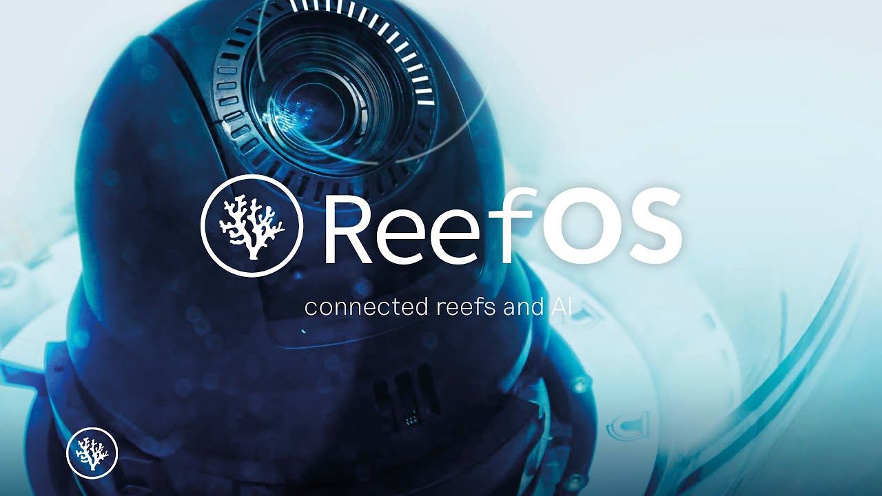 ReefOS connected reefs and AI by Coral Gardeners.jpg