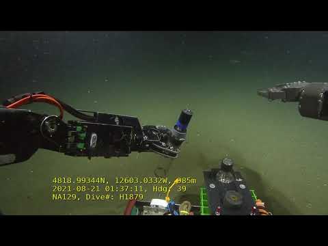 ROV Hercules Dive NA129 H1879 4 of 12 2021 08 21 01 30 14 248 UTC 15.jpg