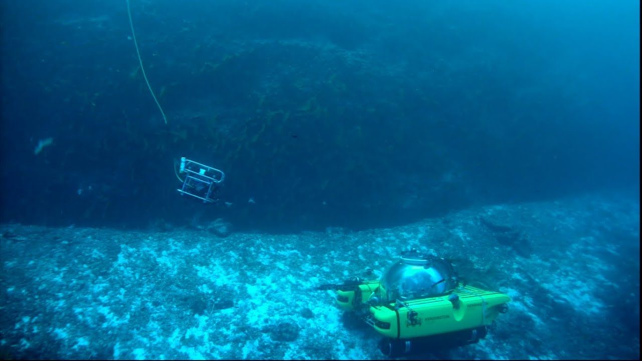 ROV SUPPORT for the NEKTON Mission First Descent Seychelles March-April 2019.jpg