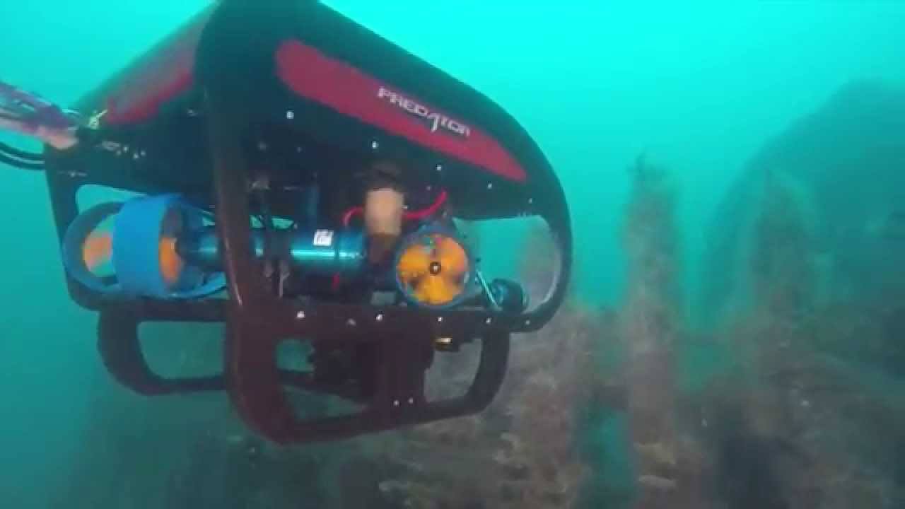 Seatronics Predator II ROV - In Action​.jpg