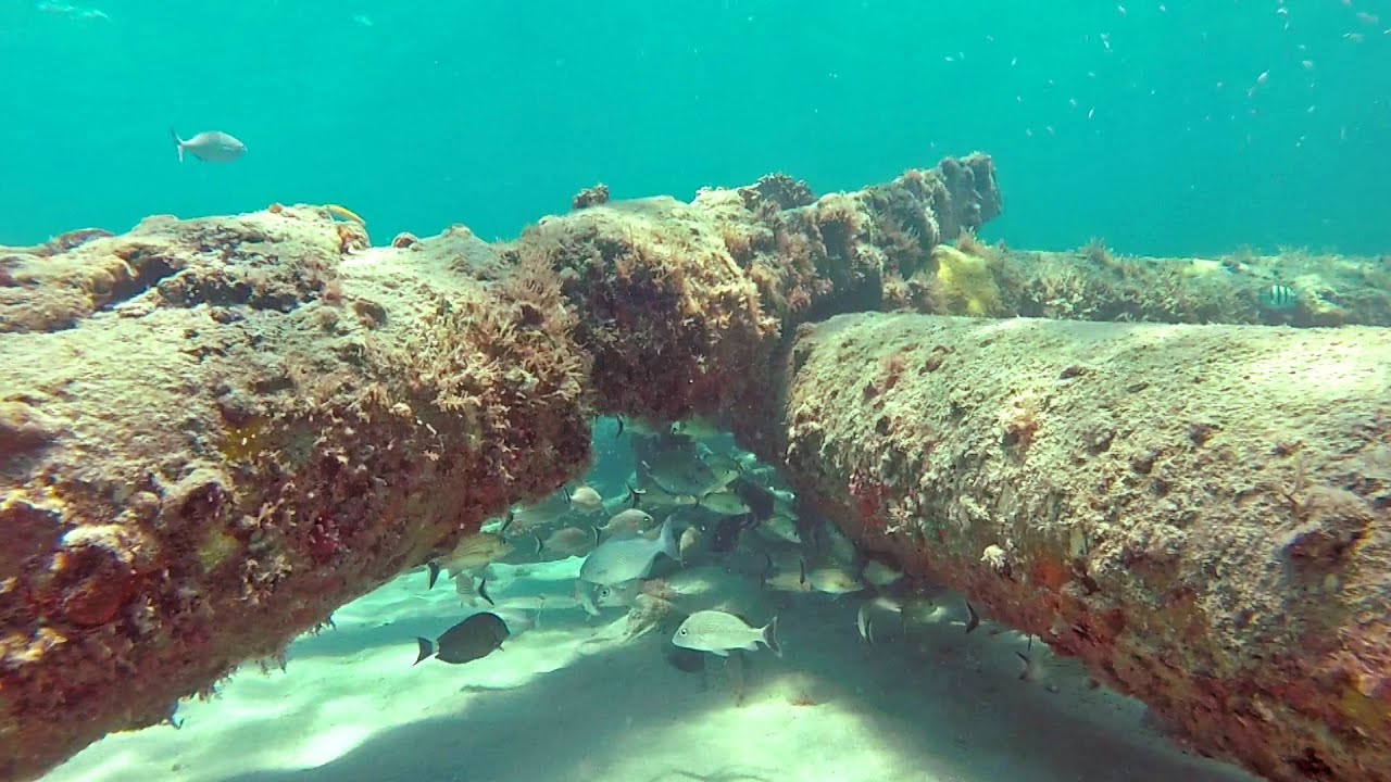 Snorkeling Worth Avenue Pier Debris Palm Beach.jpg