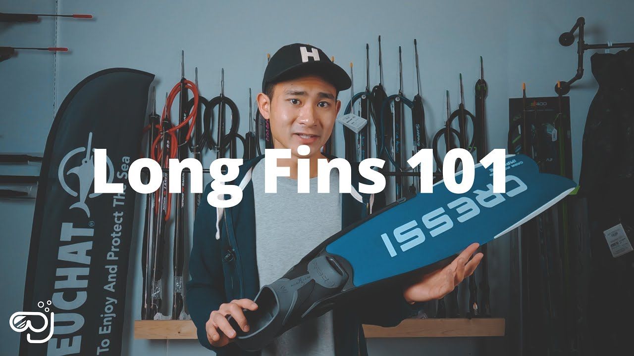 Spearfishing and Freediving Fins 101.jpg