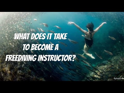 What Does It Take to Become A Freediving Instructor My Experience with a Zero to Hero Internsh...jpg