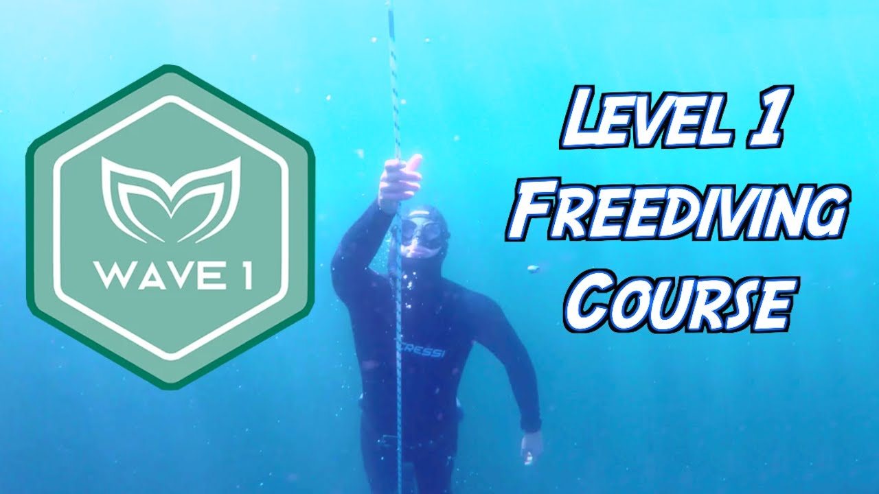 What Goes On In A Freediving Course Level 1 Freediving Certification.jpg