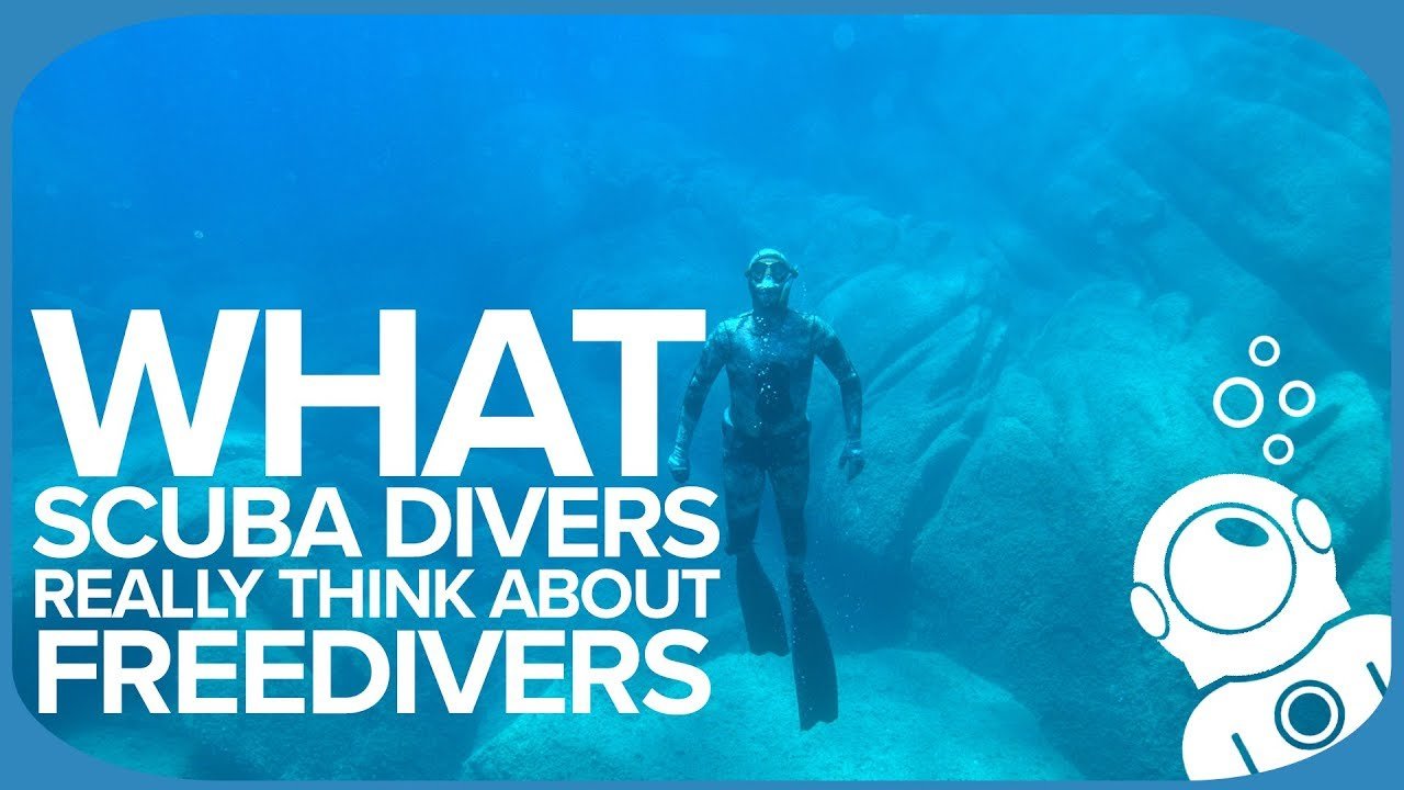 What Scuba Divers REALLY Think About Freedivers 1.jpg