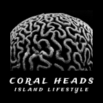 [Original size] Coral Heads - Island Lifestyle - Brain Coral Image - 500.png