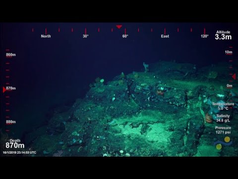 ROV SuBastian Dive 222 Costa Rican Deep Sea Connections | Coral Heads ...