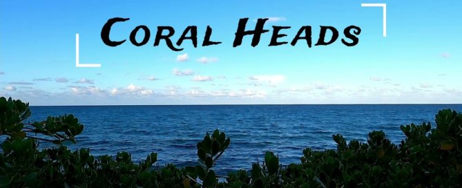 Video of Coral Heads - Coral Reefs, Artificial Reefs, and Shipwrecks!