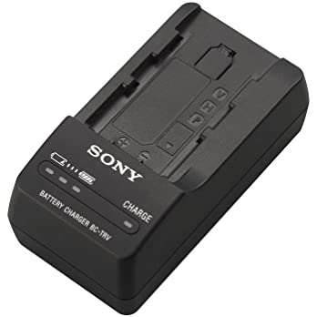 Sony BCTRV Travel Charger
